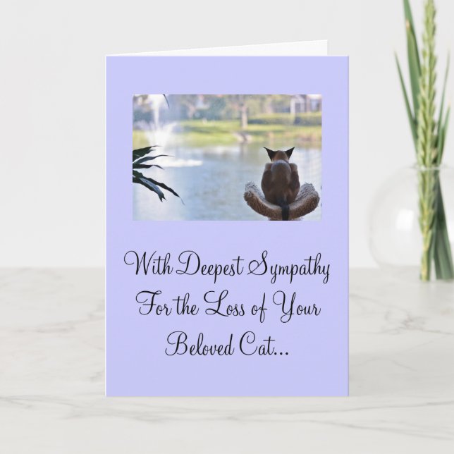 Cat Loss of Pet Sympathy Card (Front)