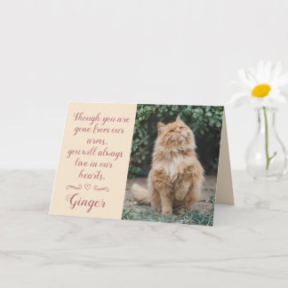 Cat Loss Sympathy Card Personalized Photo Pet Name