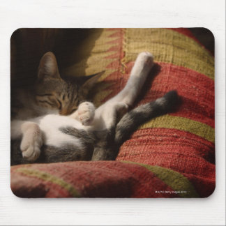 Cat Lounging Mouse Pad