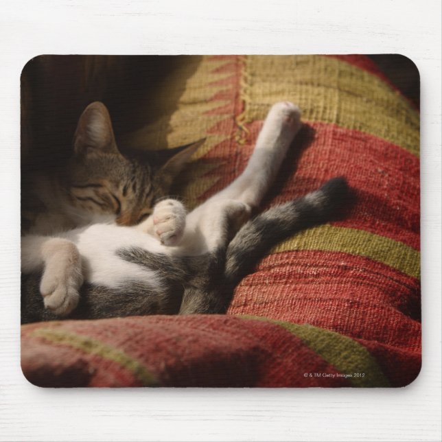 Cat Lounging Mouse Pad (Front)