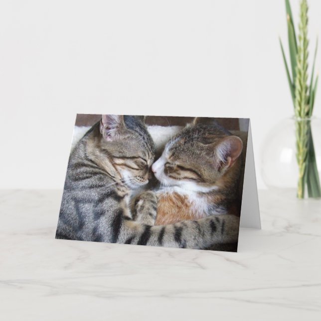 Cat Love Card (Front)