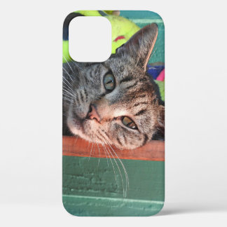 Cat Love iPhone 12 Case