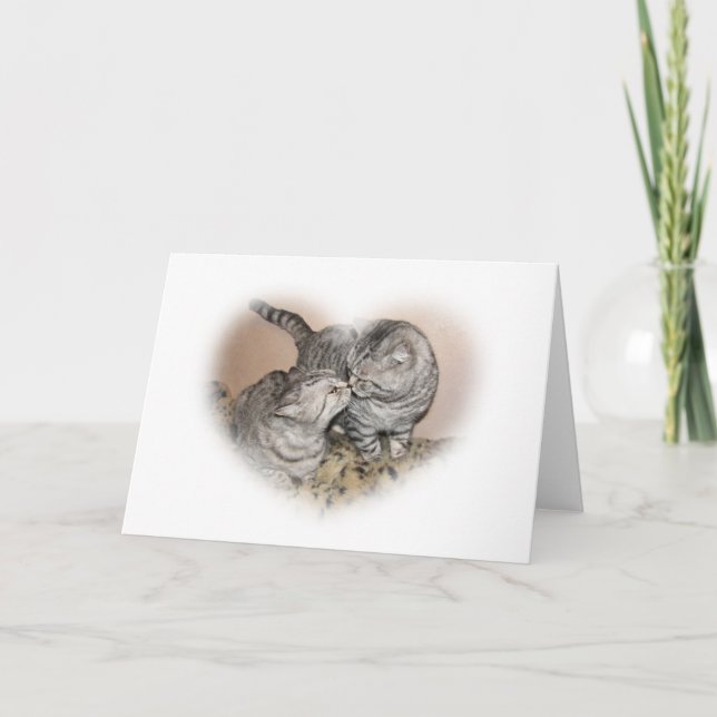 Cat love Greeting card (Front)