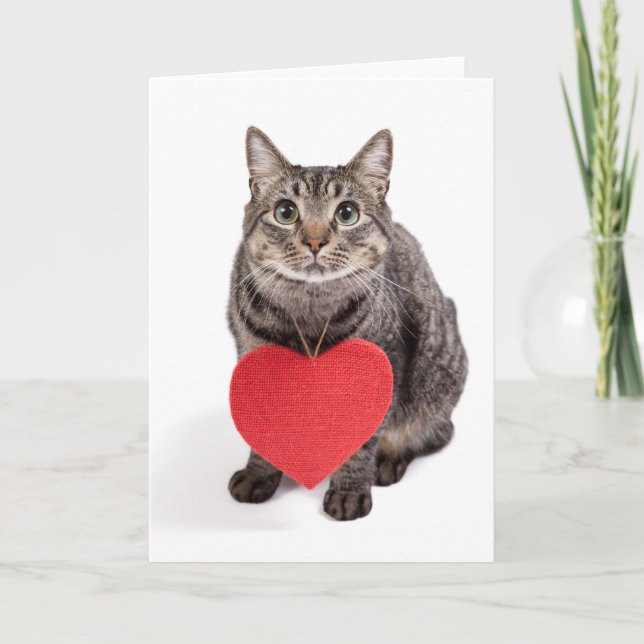 Cat Love Holiday Card (Front)