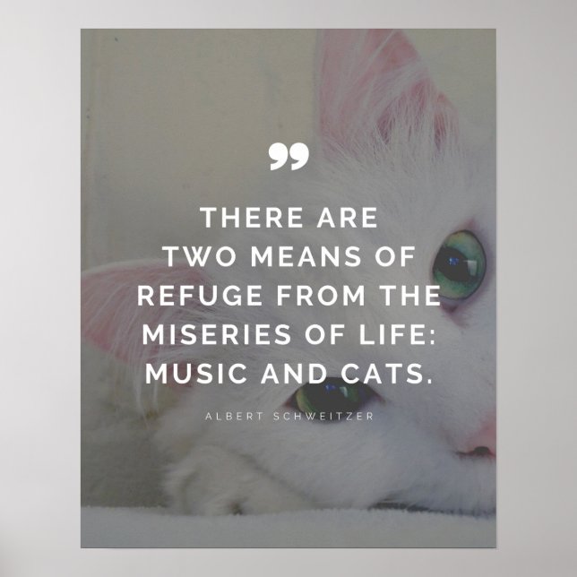 Cat Lover and Music Lover Inspirational Quote  Poster (Front)
