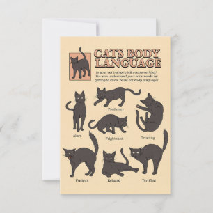 Cat Lover Cats Body Language RSVP Card