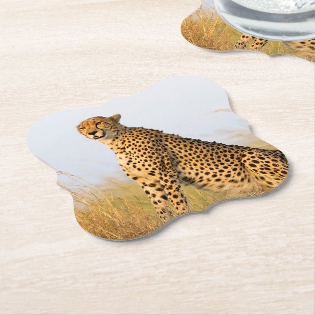 Cat lover cheetah photo paper coaster (Angled)