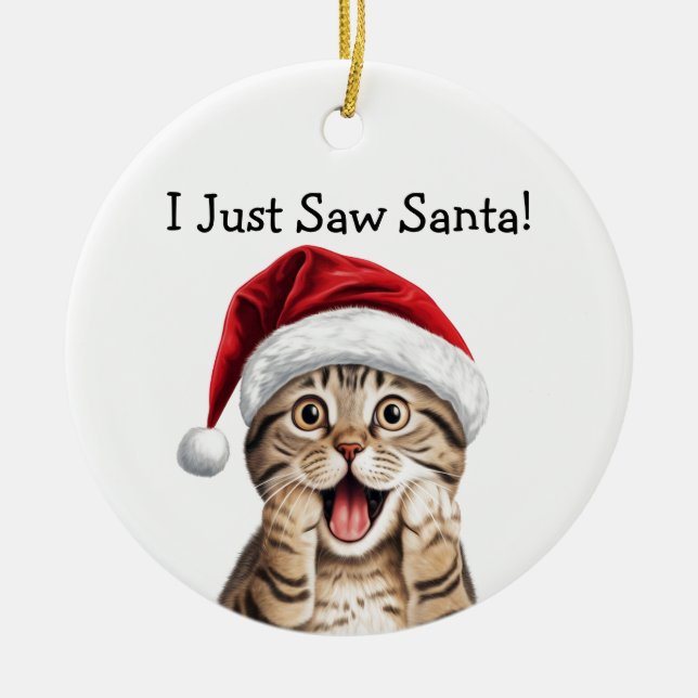 Cat Lover Christmas Gift Cat Ornament (Front)