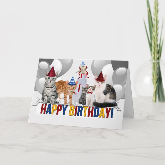 Cat Lover from the Group Birthday Card (Front)