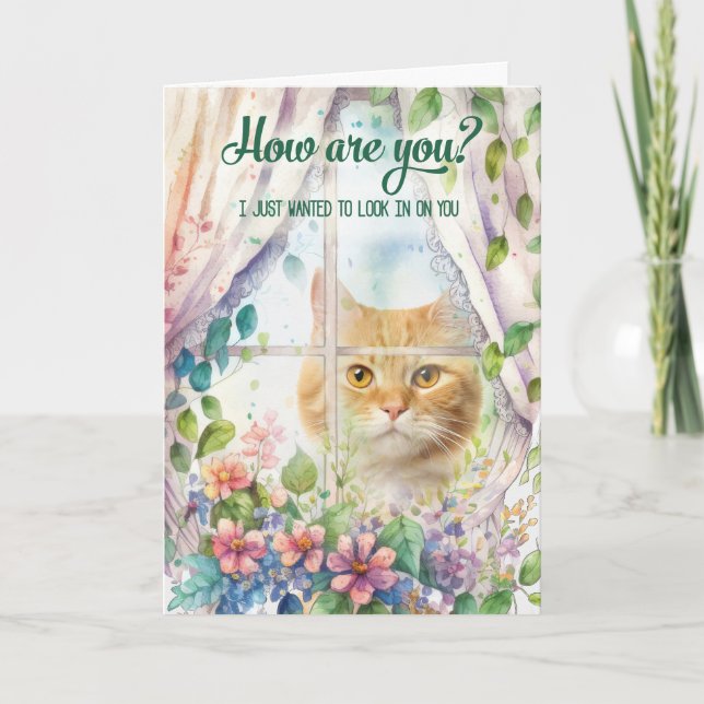 Cat Lover Garden Window Get Well Card (Front)