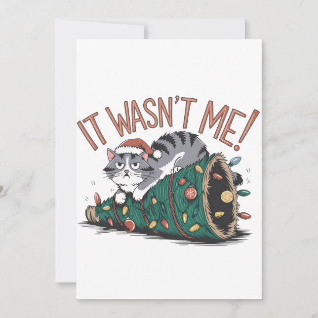 Cat Lover Gift It Was Not Me Invitation (Front)