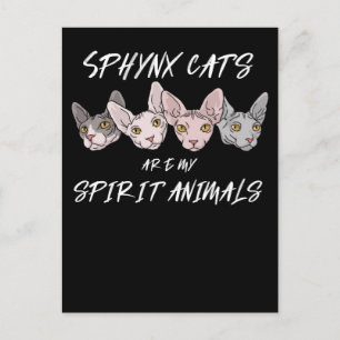 Cat Lover Gift Spirit Animal Sphynx Cat Postcard