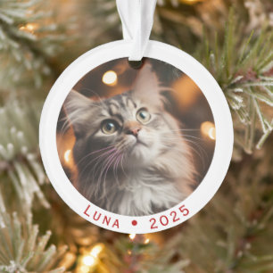 Cat Lover Ornament with Photo Name & Year