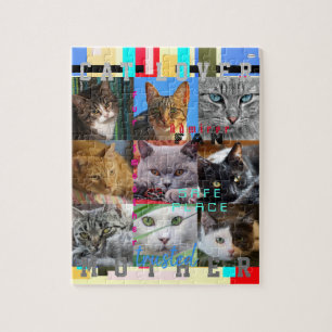 CAT LOVER Photo Puzzle HAMbWG