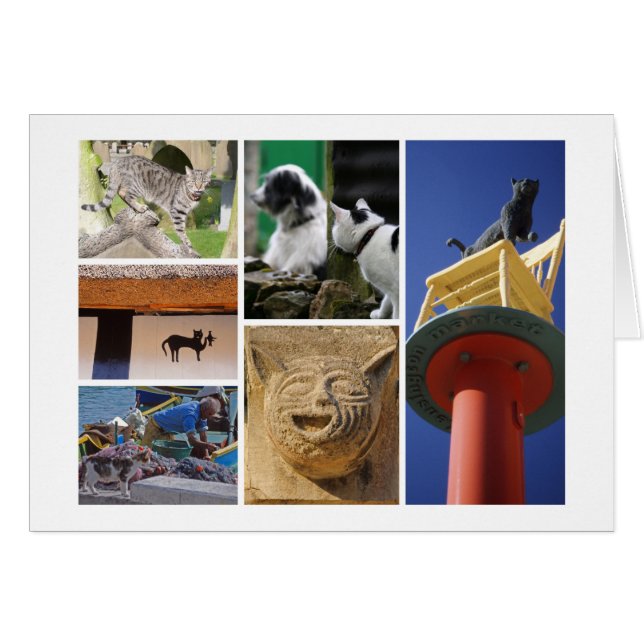 Cat-lover's card (Front Horizontal)