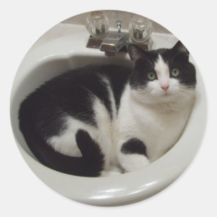 Cat lovers delight classic round sticker