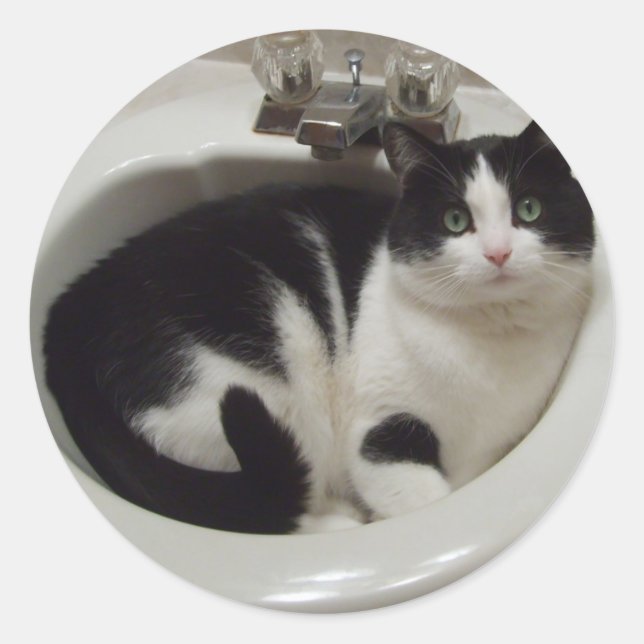 Cat lovers delight classic round sticker (Front)