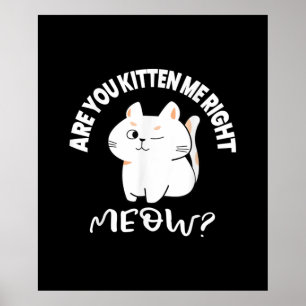 Cat Lovers Gifts Are You Kitten Me Right Meow Poster