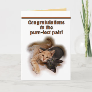 Cat Lovers Happy Anniversary  Card