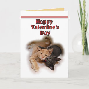 Cat Lovers Happy Valentine's Day Card