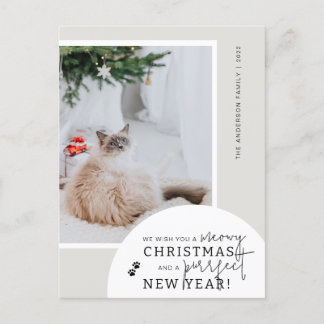 Cat Lover's Modern Simple Photo Holiday Postcard