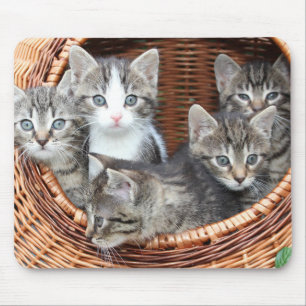 Cat Lovers Mouse Pad