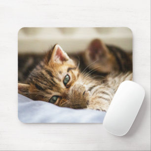 Cat Lovers Mouse Pad