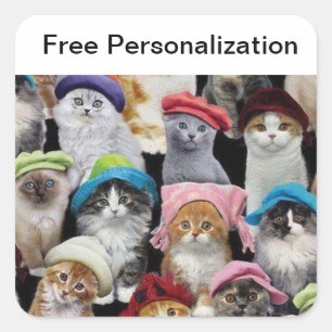 Cat Lovers Sticker Pack