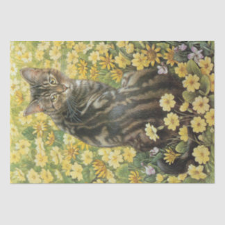 CAT LOVERS TISSUE PAPER