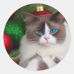 cat loves christmas tree fun classic round sticker