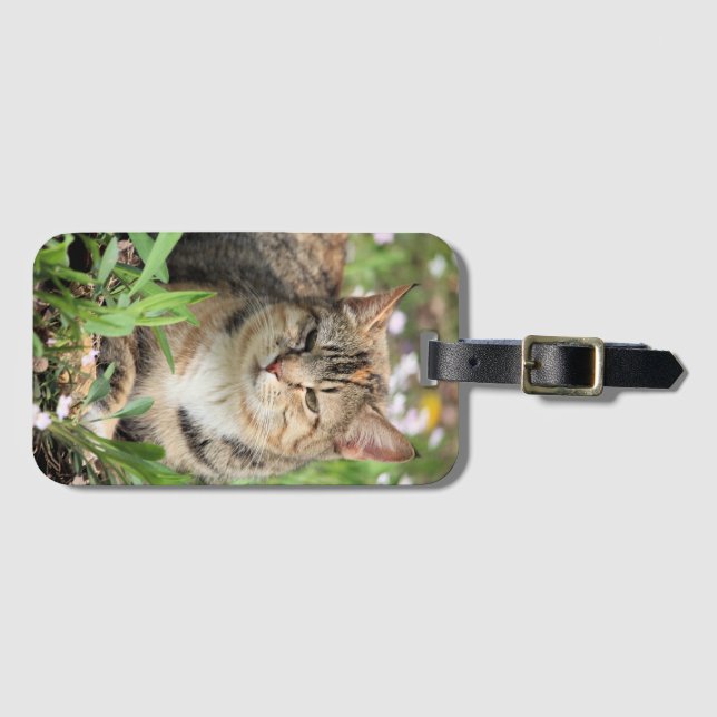 Cat Luggage Tag (Front Horizontal)