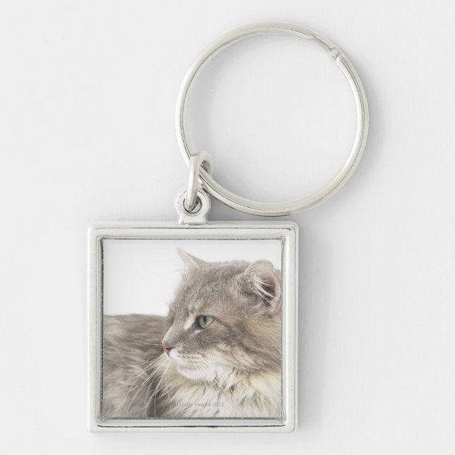 Cat lying down keychain (Front)