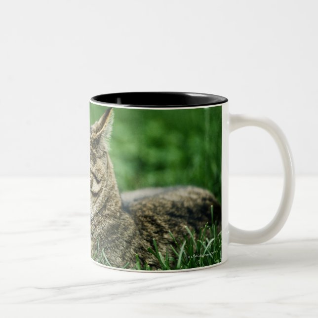 Cat lying in grass Two-Tone coffee mug (Right)