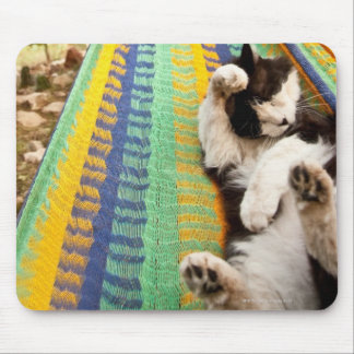 Cat lying in Mayan Mexican hammock Mouse Pad