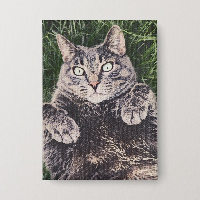 Cat Lying in the Grass (Front)