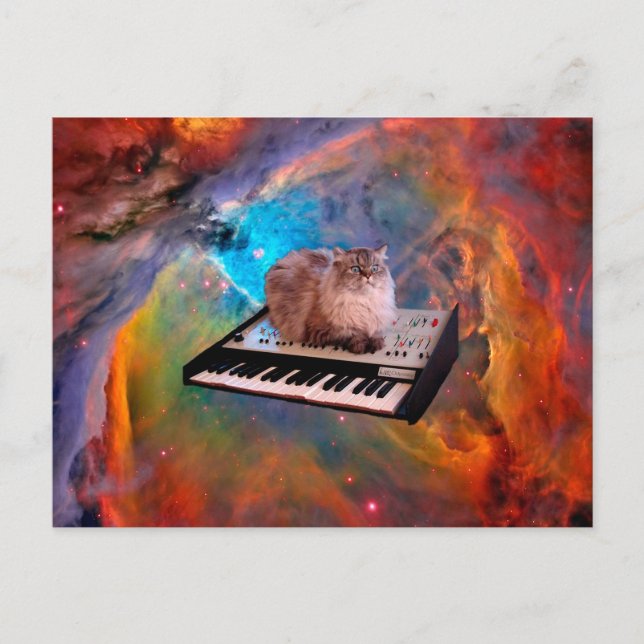 Cat lying on a keyboard in the space postcard (Front)