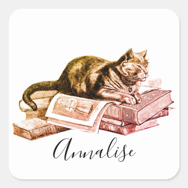 Cat Lying On A Stack Of Books Square Sticker (Front)