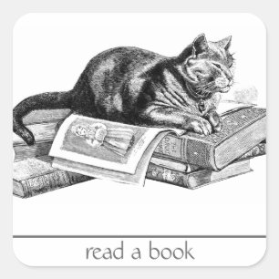 Cat Lying on Books Square Sticker