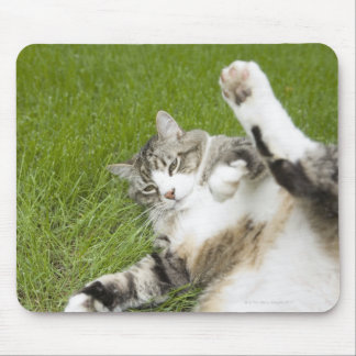 Cat lying on grass, close-up mouse pad