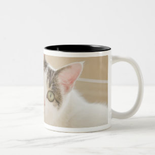 Cat lying on stairs Two-Tone coffee mug