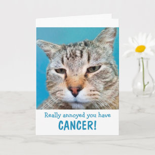 Cat Mad At Cancer Funny  Card