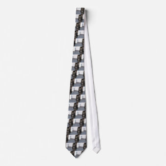 Cat Mad Tie. Tie