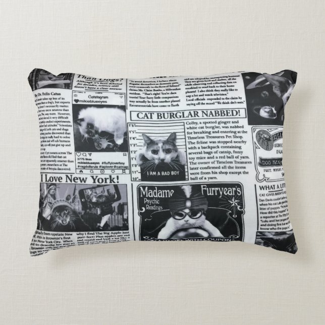 Cat Magazine Accent Pillow (Front)