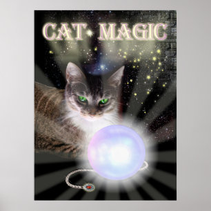Cat Magic Poster