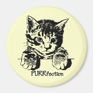 Cat Magnet Purrfection