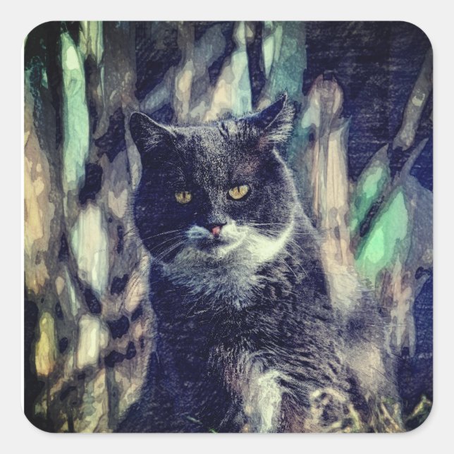 Cat, Mammal, Animal Square Sticker (Front)