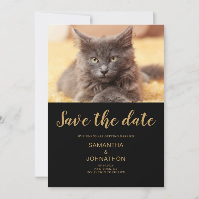 Cat Mariage Photo Appartement Enregistrer La Carte (Devant)