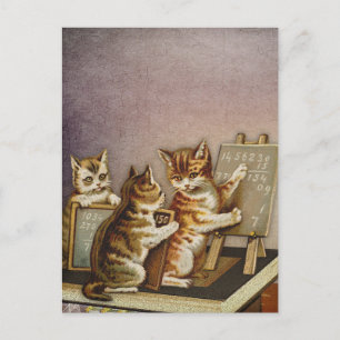 Cat math postcard