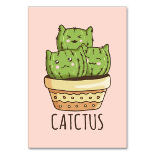 Cat Meets Cactus Table Number