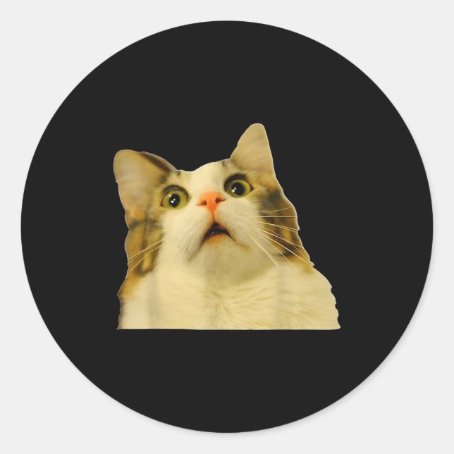 Cat Meme Shock Cat Face Funny Meme Cat Silly Gift  Classic Round Sticker (Front)